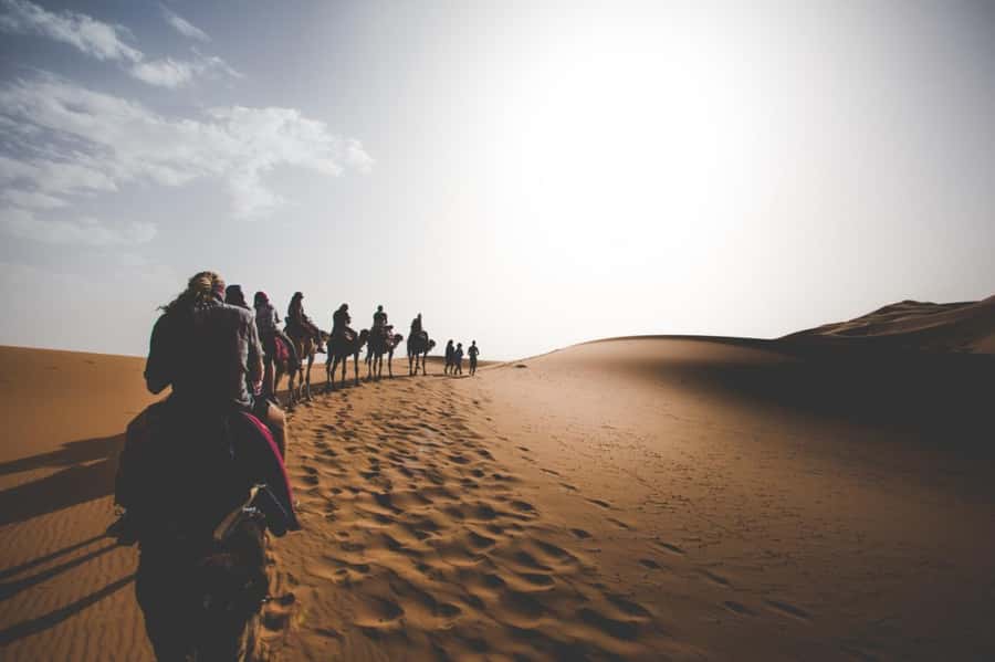 Merzouga Overnight Stay in a Berber Tent and Camel Ride - Private tents and what the overnight stay is like