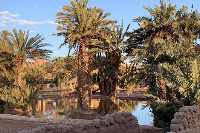 Moroccan Desert 3-Day Luxury Tour from Marrakech - What $450 buys you, and what it does not