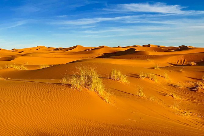 Moroccan Desert 3-Day Luxury Tour from Marrakech - Who should book this desert tour