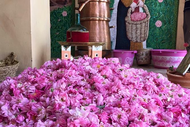 Morocco 11 Days Tour from Casablanca via Sahara Desert - What the $2,253 price really buys you