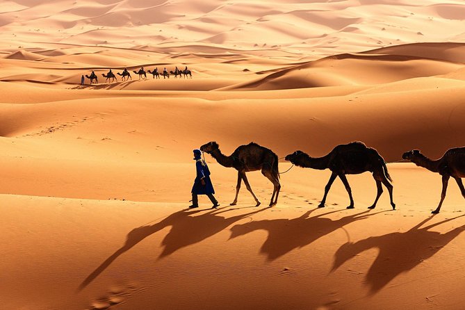 Morocco Top Trips: Luxury 10-Day Private Tour in Morocco - Casablanca begins with the Hassan II Mosque