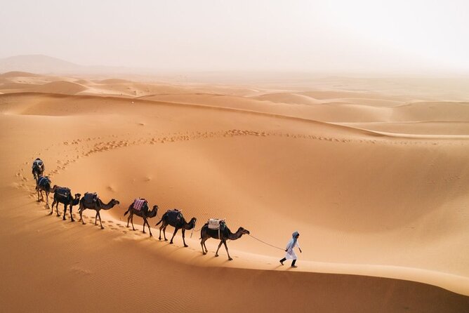 Morocco Tour from Casablanca to Sahara and Marrakech 5 days - Meknes and the Roman ruins at Volubilis