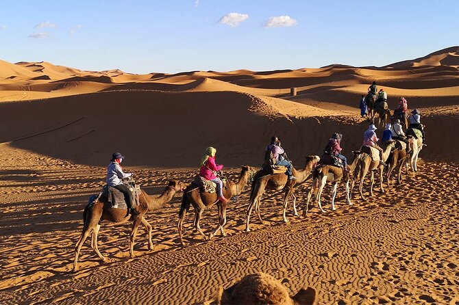 Morocco tour start from Casablanca 8 days - Volubilis and Meknes before Fez