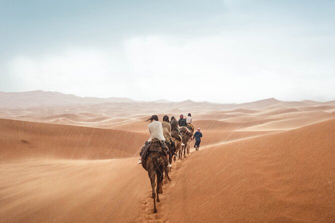 Morocco tour start from Casablanca 8 days - A full day inside Fez’s medieval world