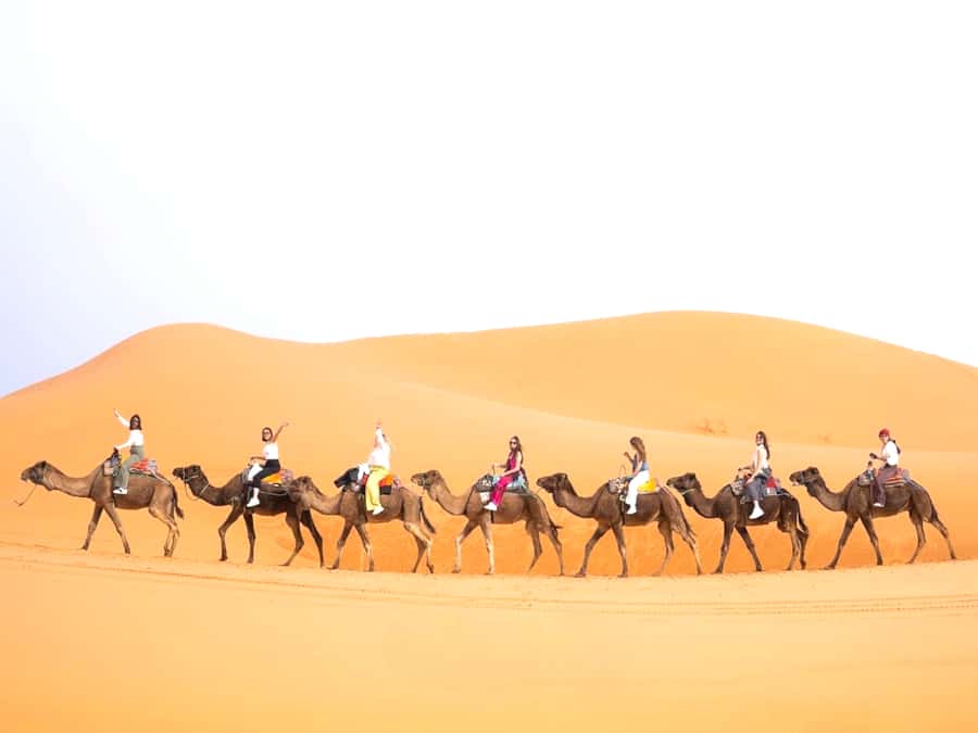 Ouarzazate to Marrakech: 3-Day Desert Tour with Camel Trek - A three-day route from kasbahs to dunes