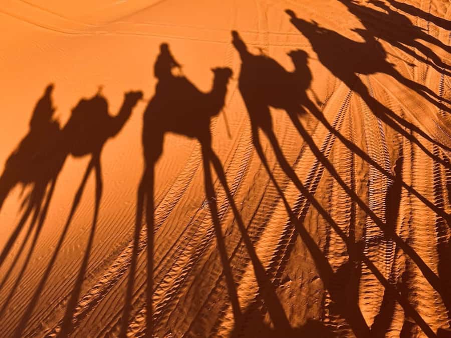 Ouarzazate to Marrakech: 3-Day Desert Tour with Camel Trek - Day three: sunrise, breakfast, and the road to Marrakech