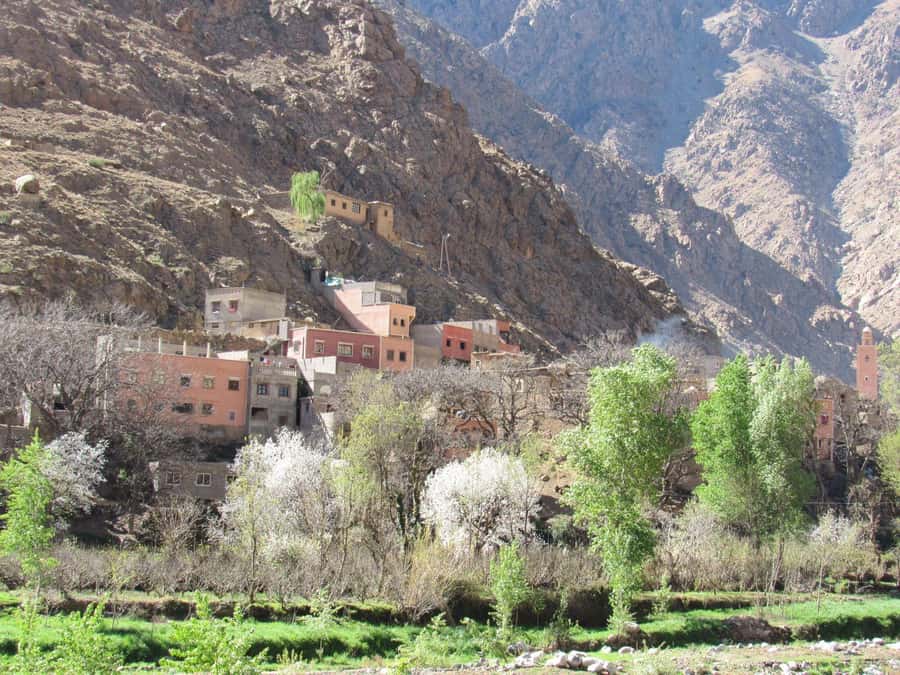 Ourika valley & atlas mountains guided tour from Marrakech - What the argan oil cooperative adds