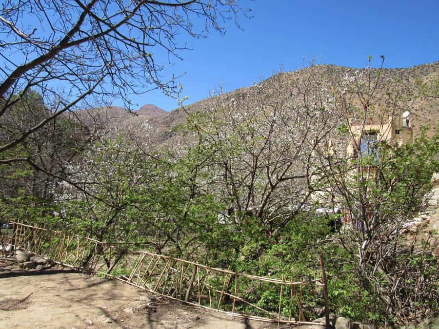Ourika valley & atlas mountains guided tour from Marrakech - Is the $8 price good value?
