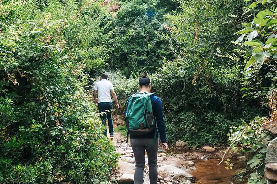 Ourika Valley, Atlas Mountains, Waterfalls & Guided Tour - What makes this Ourika Valley trip worth considering