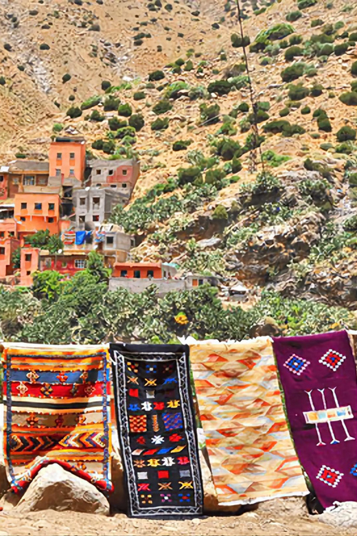 Ourika Valley, Atlas Mountains, Waterfalls & Guided Tour - Guides, languages, and the human factor