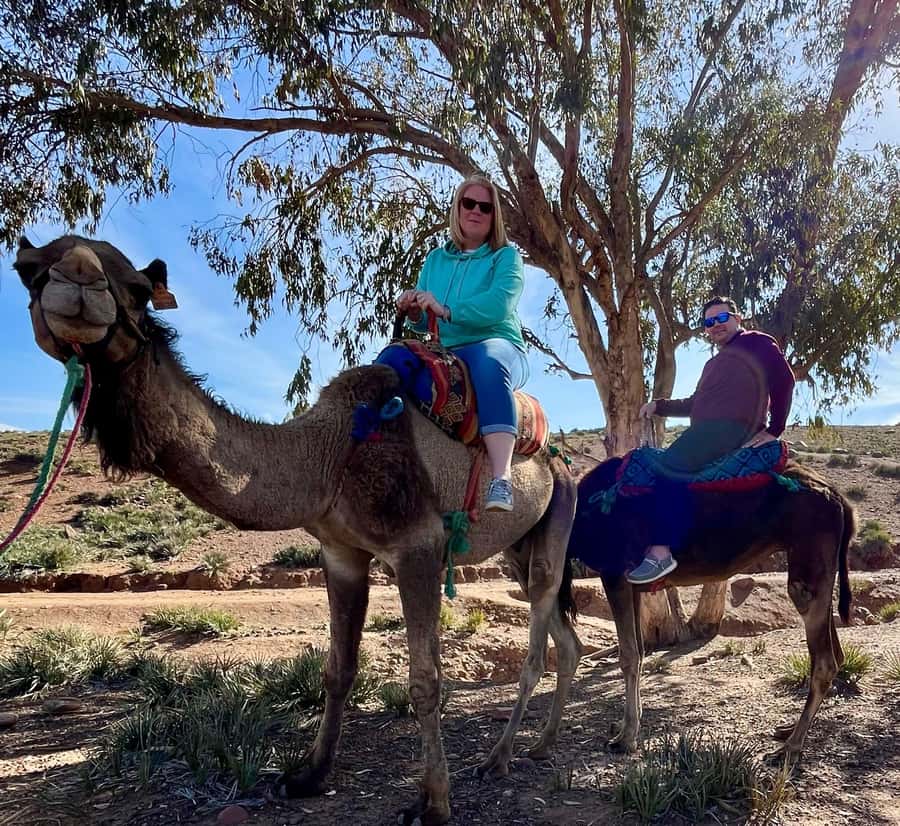 Ourika Valley Private Trip: Lunch, Guide, & Camel Ride - Ourika Valley, Berber villages, and river views