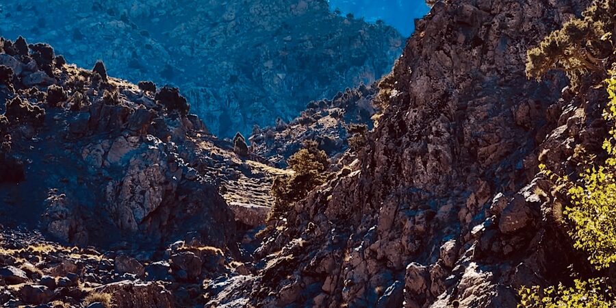 Ourika Valley: Quad Biking,Camel Riding,and Hiking Adventure - Who should book this day trip