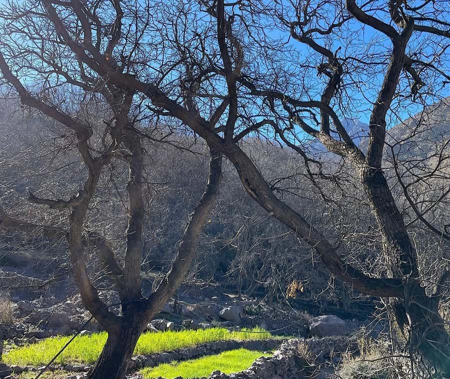 Ourika Valley: Quad Biking,Camel Riding,and Hiking Adventure - From Marrakech to the Ourika Valley