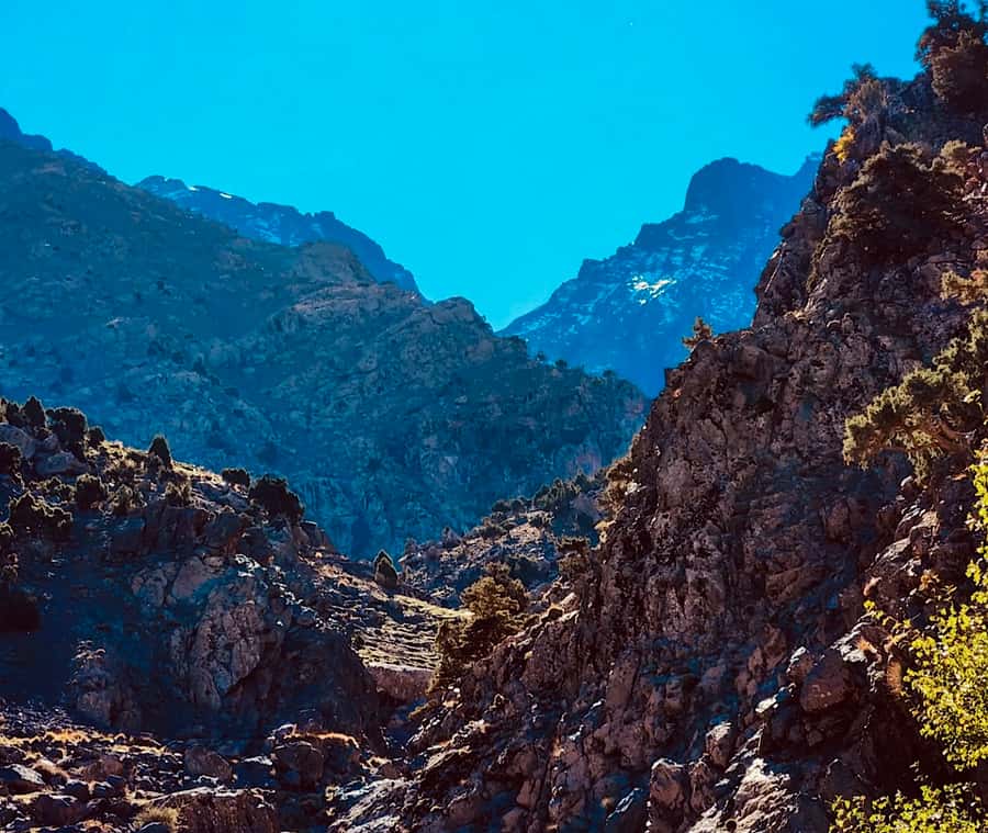 Ourika Valley: Quad Biking,Camel Riding,and Hiking Adventure - The argan cooperative and its limits