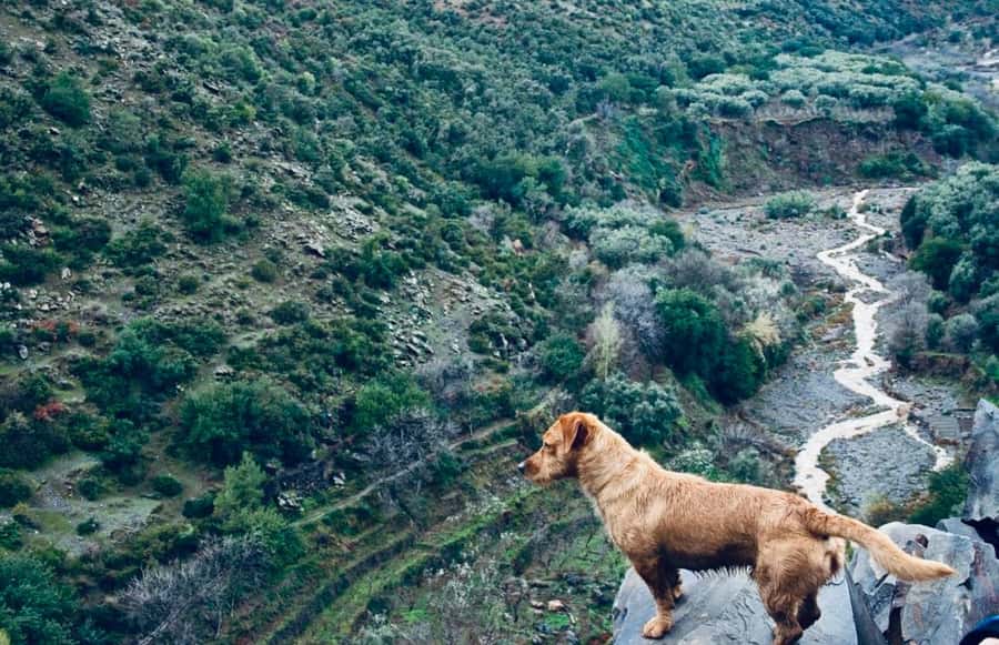 Ourika Valley: Quad Biking,Camel Riding,and Hiking Adventure - What the $45 price really covers