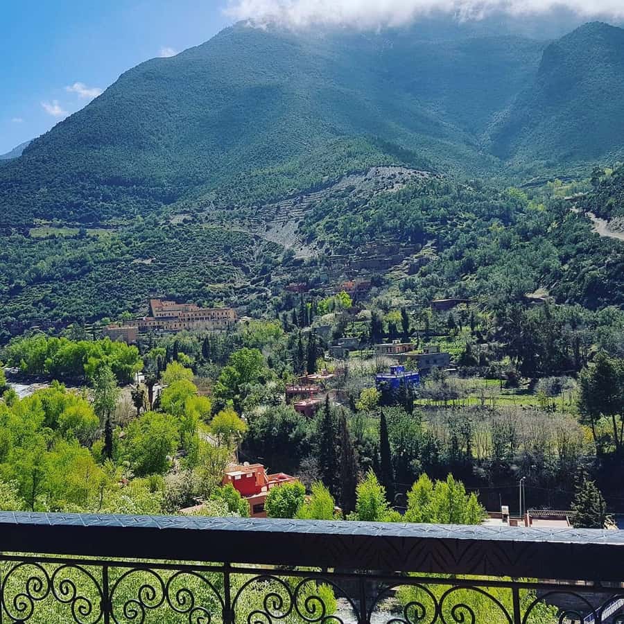 Ourika Valley Waterfalls Day Trip From Marrakech - What happens at the argan oil cooperative