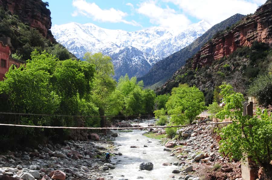 Ourika Valley with Atlas Mountains Day Trip from Marrakech - Tnin Ourika and the everyday market