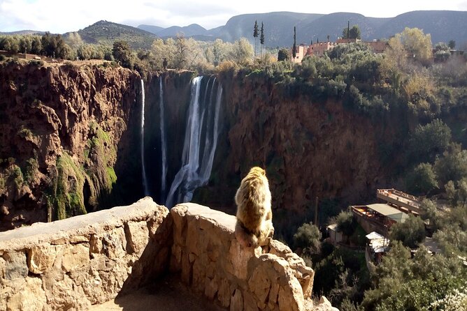 Ouzoud Waterfalls Full Day Trip From Marrakech - Who should book this day trip