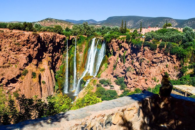 Ouzoud Waterfalls Guided Hike and Boat Trip from Marrakech - What the guide adds, and where things can go wrong