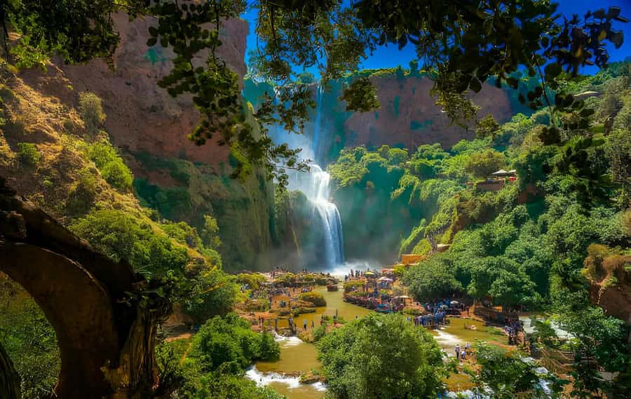 Ouzoud Waterfalls: Majestic Guided Hike and Adventure - Olive groves and Berber life