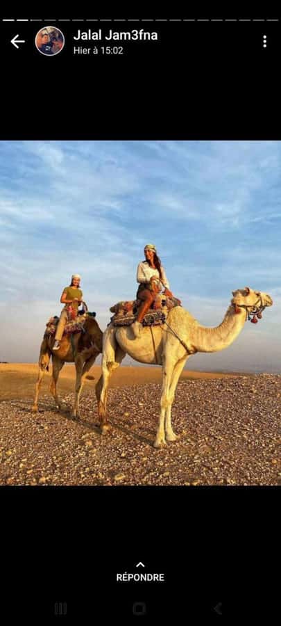 Palmeraie Marrakech Camel Ride & Quad Bike Package Exprience - What the $29 Palmeraie experience really includes