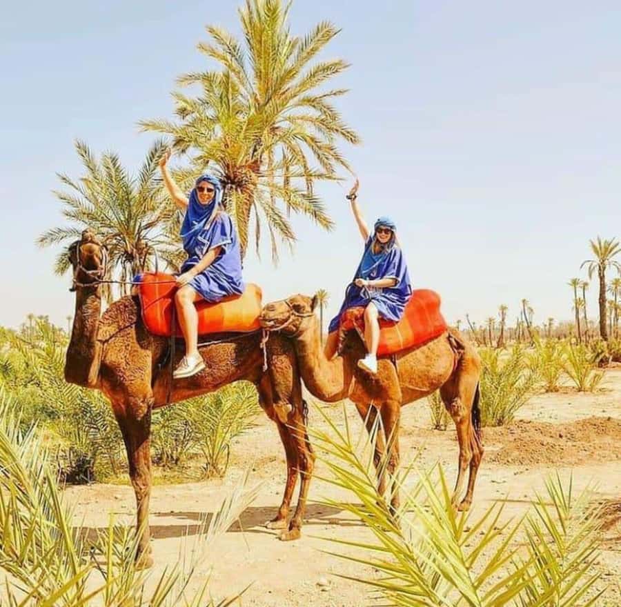 Palmeraie Marrakech Camel Ride & Quad Bike Package Exprience - The 15-minute safety briefing comes first