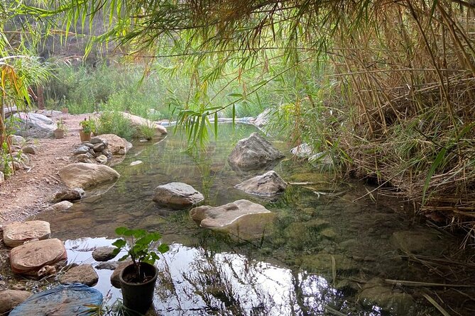 Paradise Valley and Atlas Mountains Adventure in Agadir - Mohamed’s role in the day