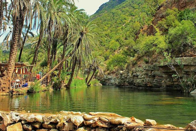 Paradise Valley & Atlas Mountains Adventure with optional LUNCH - The drive north from Agadir sets the tone