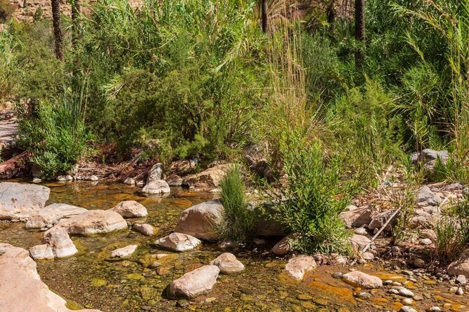 Paradise Valley & Atlas Mountains Adventure with optional LUNCH - Swimming depends on the season