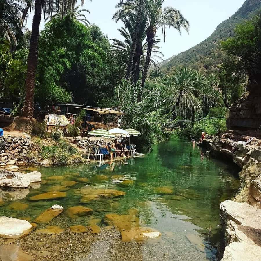 Paradise Valley & Desert Dunes with Camel Ride and quad bike - Booking details worth knowing
