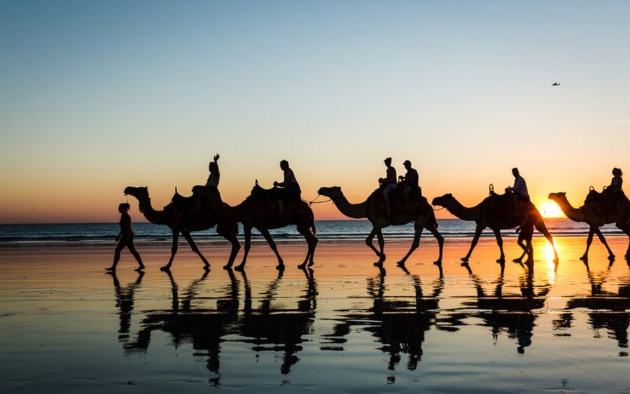 Paradise Valley & Desert Dunes with Camel Ride and quad bike - Moroccan food at the end of the action