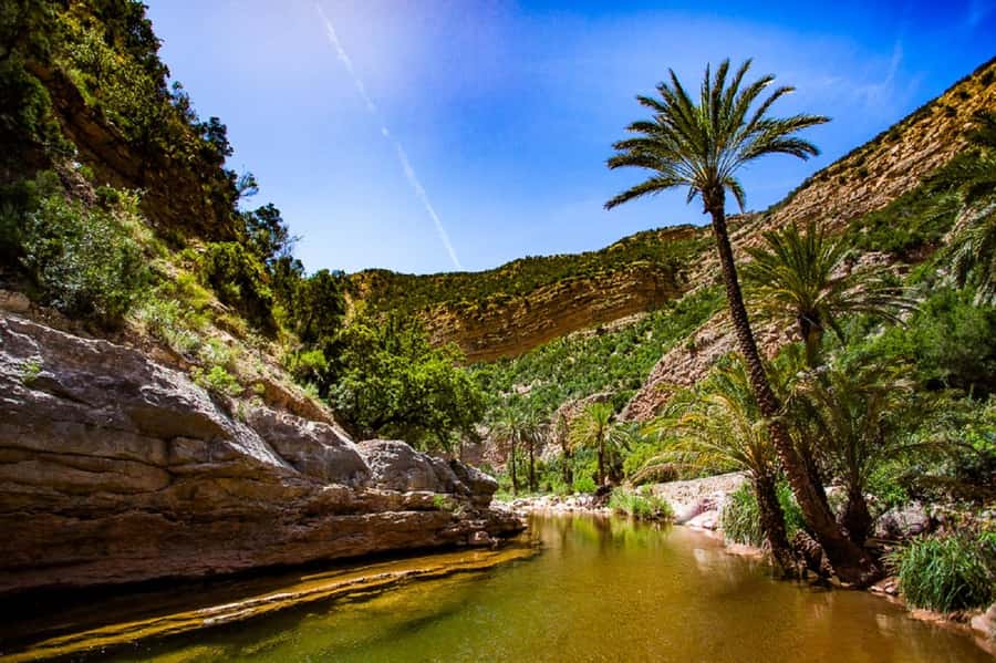 Paradise Valley & Desert Dunes with Camel Ride and quad bike - Who will get the most from this outing
