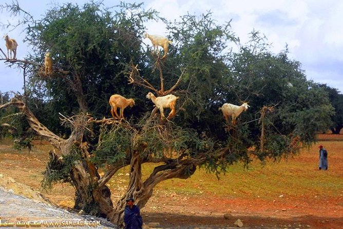 Paradise valley excursion - Who will enjoy this excursion?