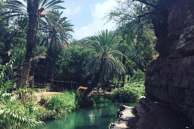 Paradise Valley & The Old Taghazout village Private Tour - Taghazout, Morocco’s surf town