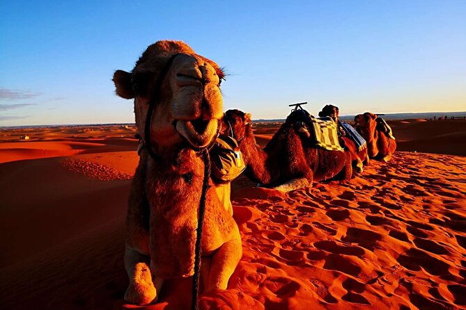 Private 3 Day Luxury Desert Tour from Fez to Marrakech - Todra Gorge and the canyon road