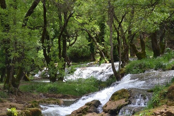 Private Day Tour from Fez to the Middle Atlas - Ifrane, Morocco’s mountain town