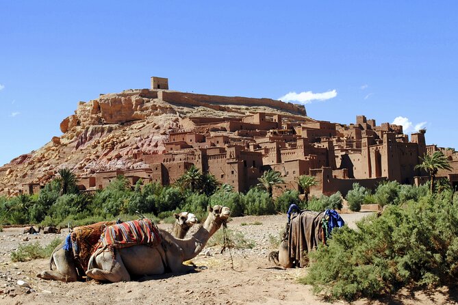 Private Day tour From Marrakech to Ouarzazate and Ait Ben Haddou - Crossing Tizi n Tichka at 2,260 meters