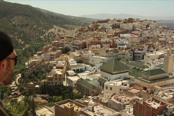 private Day trip from Fez to Volubilis and Meknes (without shopping) - The drivers and the value of private service