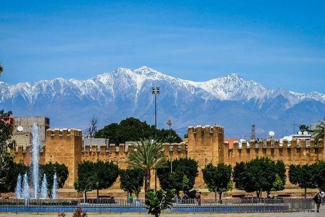 Private Day Trip of Taroudant & Tiout from Agadir - Walking through more than 20,000 palms