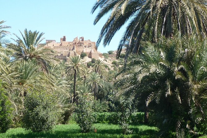 Private Day Trip of Taroudant & Tiout from Agadir - Inside the Berber souk