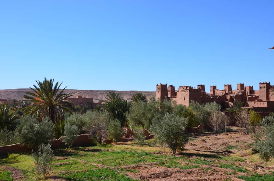 Private Day Trip To Ouarzazate & Ait Ben Haddou Kasbah - Who will enjoy this trip most
