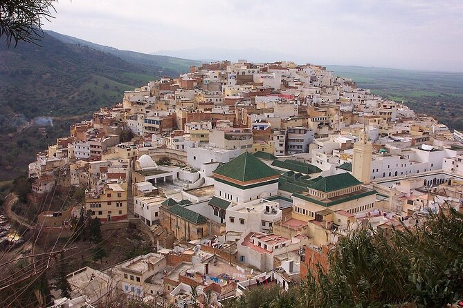 Private Day Trip to Volubilis Meknes and Moulay Driss From Fez - Why this Fez day trip works