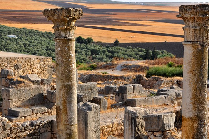 Private Day Trip to Volubilis Meknes and Moulay Driss From Fez - Volubilis, where Roman Morocco comes into view