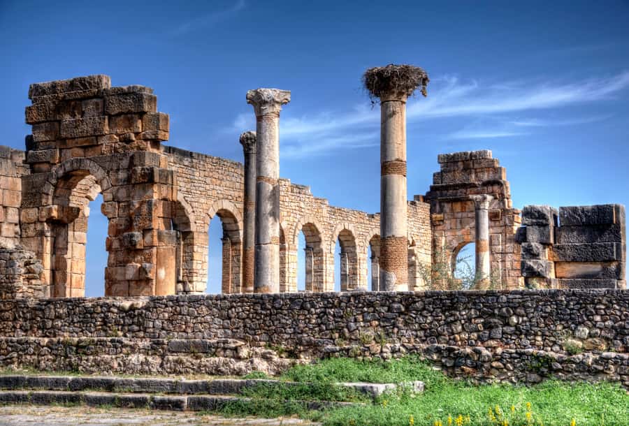 Private Day Trip to Volubilis, Moulay Idriss and Meknes - Meknes: imperial gates, a royal square, and vast stables