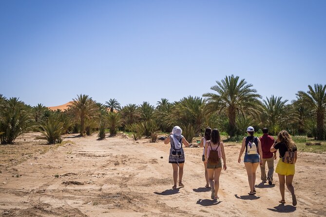 Private Driver for a full day in Marrakech - Start With a Route That Fits Your Group