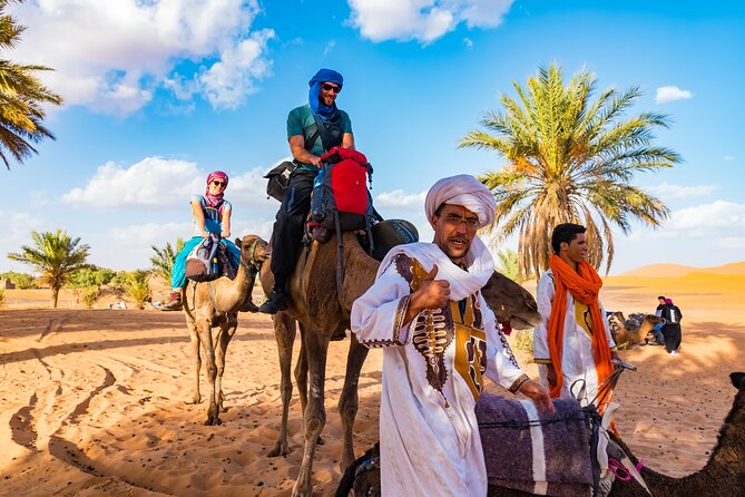 Private Driver for a full day in Marrakech - Pickup, Timing, and the One Important Reliability Check