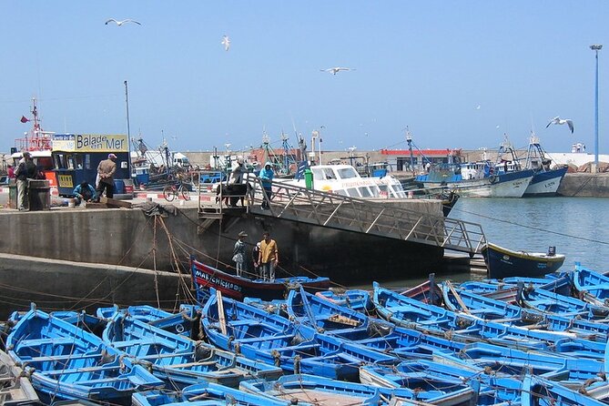 Private Essaouira Day Trip From Agadir - Why Essaouira makes a worthwhile day from Agadir