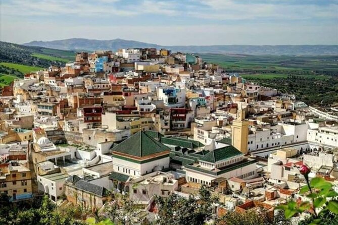 Private Excursion to Volubilis Meknes and Moulay Idriss from Fez - Why this route works so well from Fez