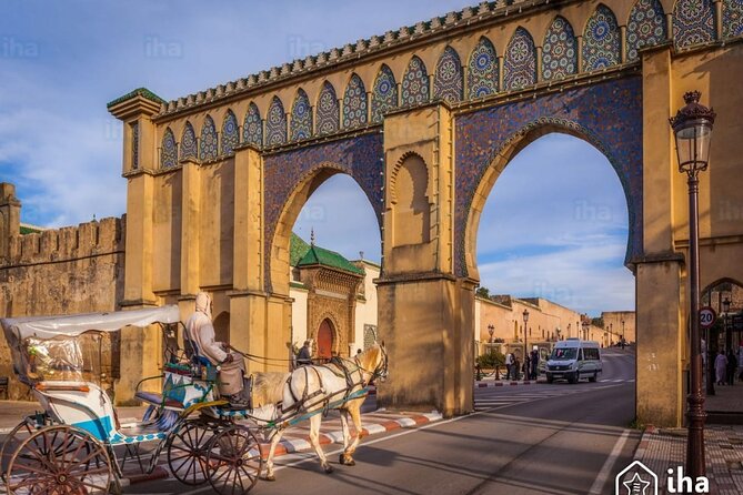 Private Excursion to Volubilis Meknes and Moulay Idriss from Fez - Volubilis: Roman Morocco in an open-air setting