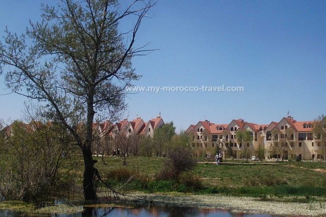 Private Fez to Marrakech Via Merzouga desert tour 3days - Day one: Fez, Ifrane, cedar forests, and the long road to Merzouga